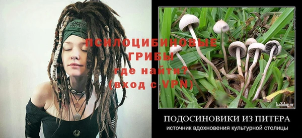 герыч Абинск