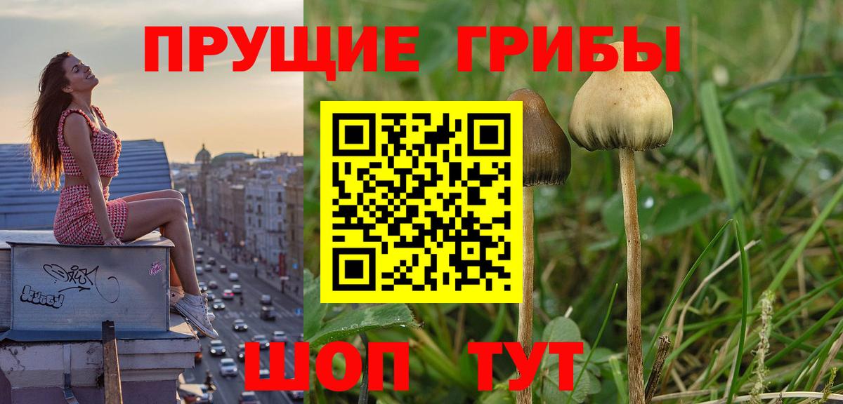 Бошки Шишки  MDMA  Кодеин  Вход с VPN  Мефедрон   ГАШИШ  COCAIN  Черногорск  Гашиш 