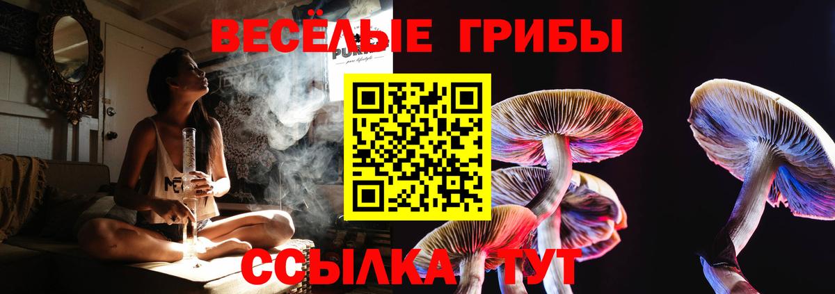 Черногорск  Псилоцибиновые грибы Psilocybine cubensis  Вход с VPN  Псилоцибиновые грибы Psilocybine cubensis 